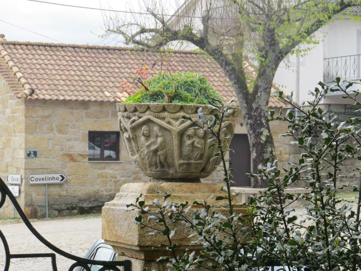 Willa Casa Sao Joao Sao Joao da Serra Zewnętrze zdjęcie