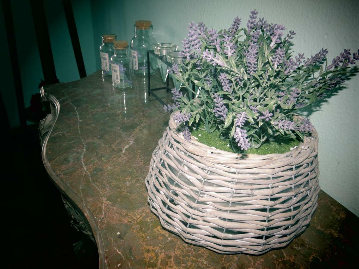 Willa Casa Sao Joao Sao Joao da Serra Zewnętrze zdjęcie